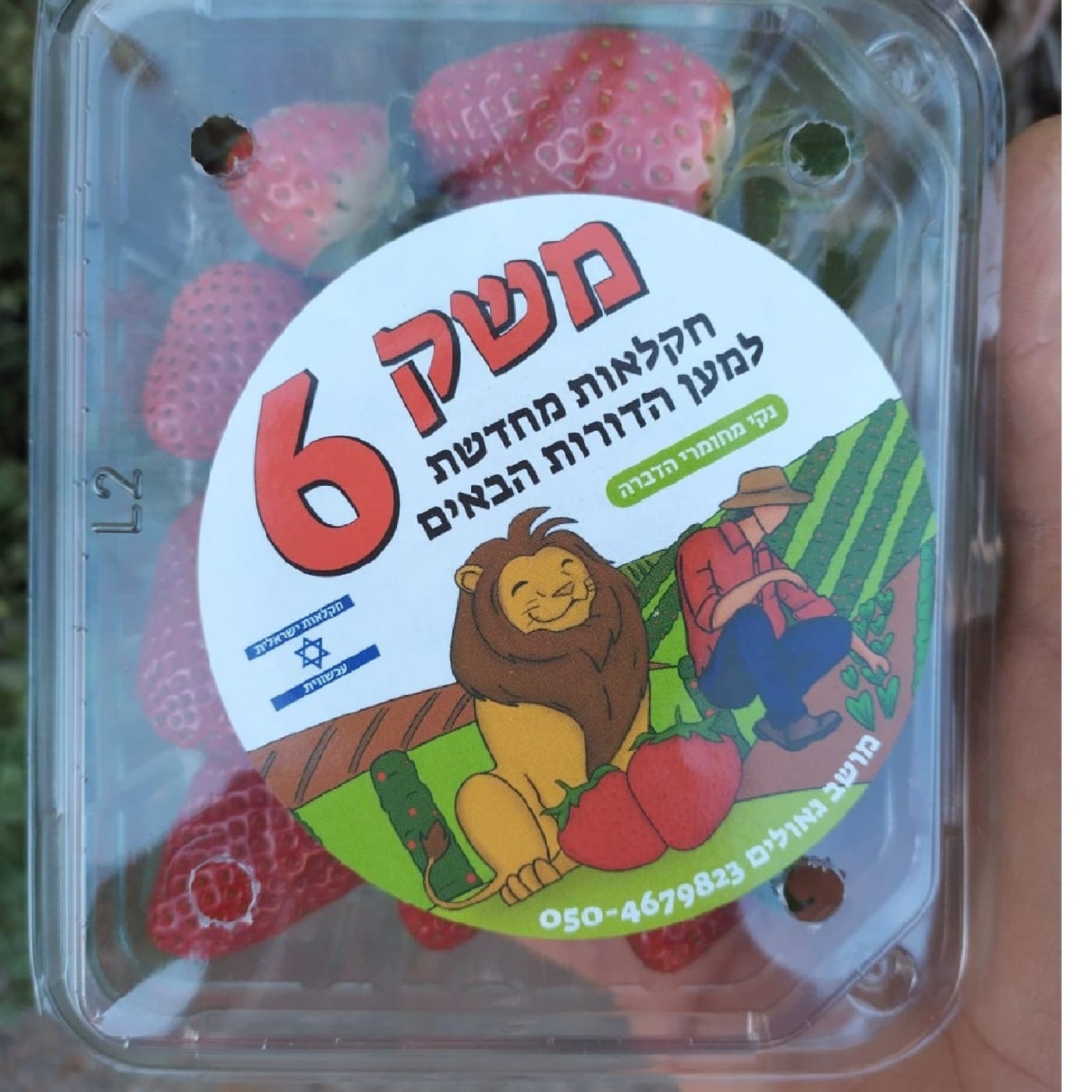 תות שדה אורגני מארז
