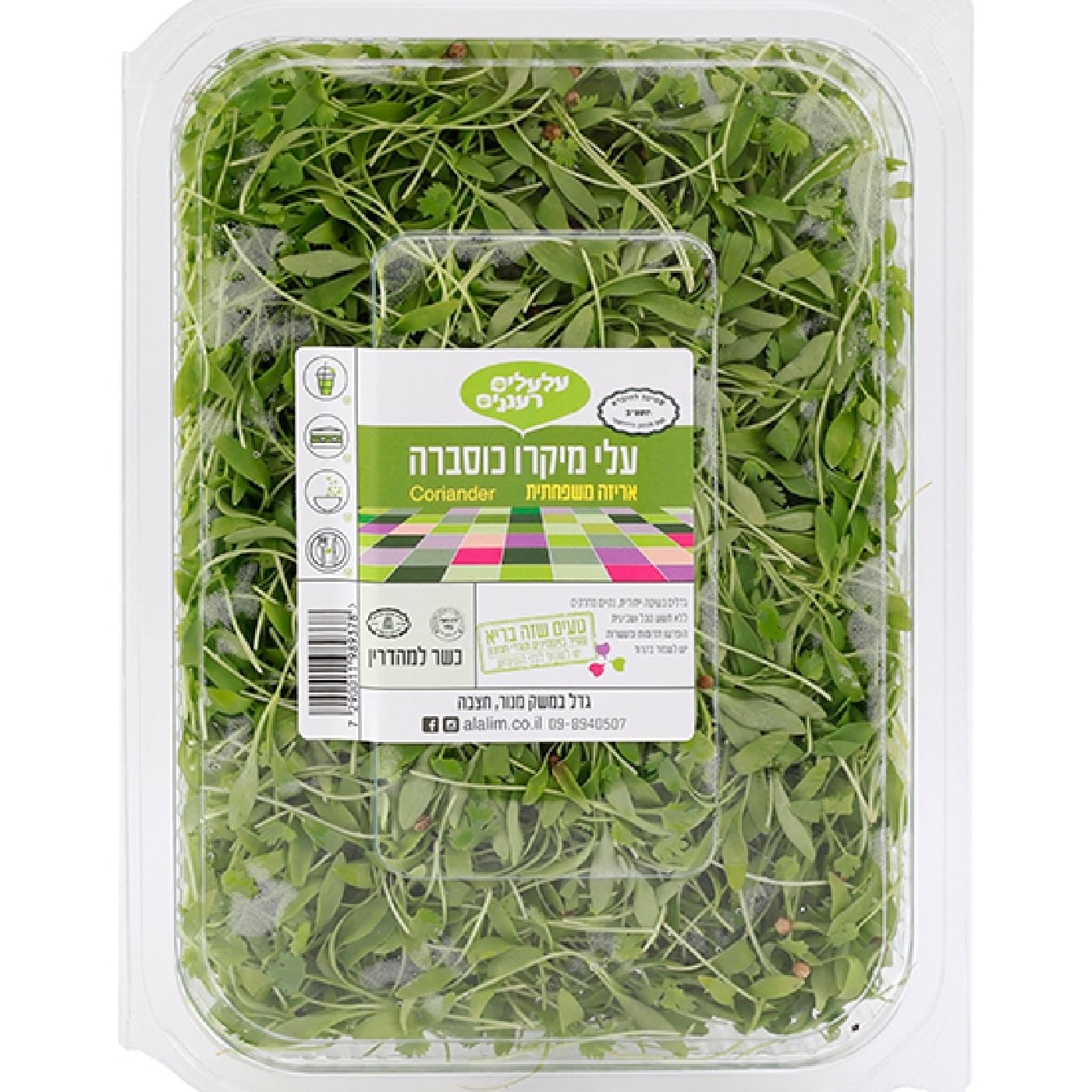 עלי מיקרו כוסברה מארז XL