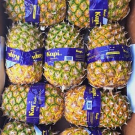 כ-1.5 משקל לא העלים! קוסטה ריקה. לחילופין - דל מונטה קניה