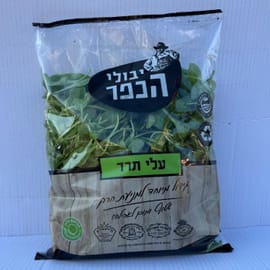 עלים צעירים ורעננים. כ-500 ג'
