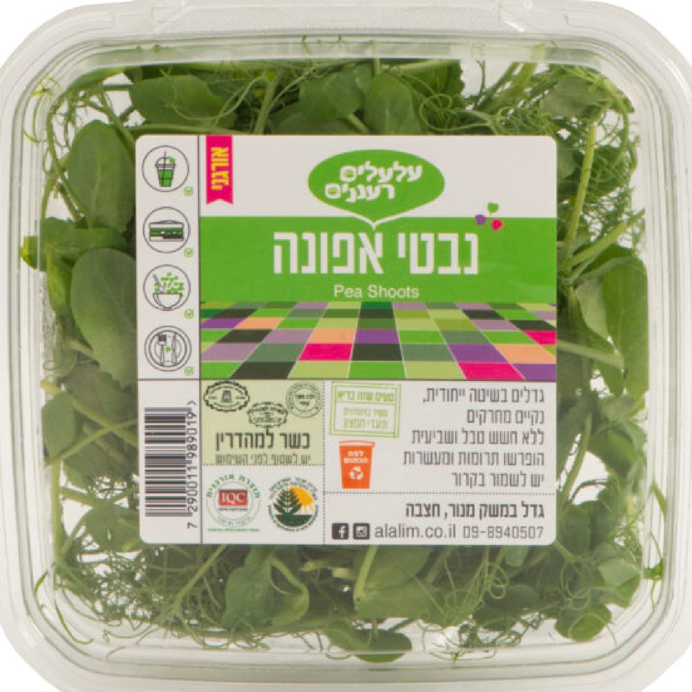 עלי מיקרו אפונה