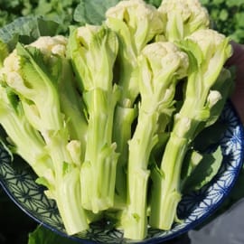 כרובית עדינה וקטנה, כ-500 גרם